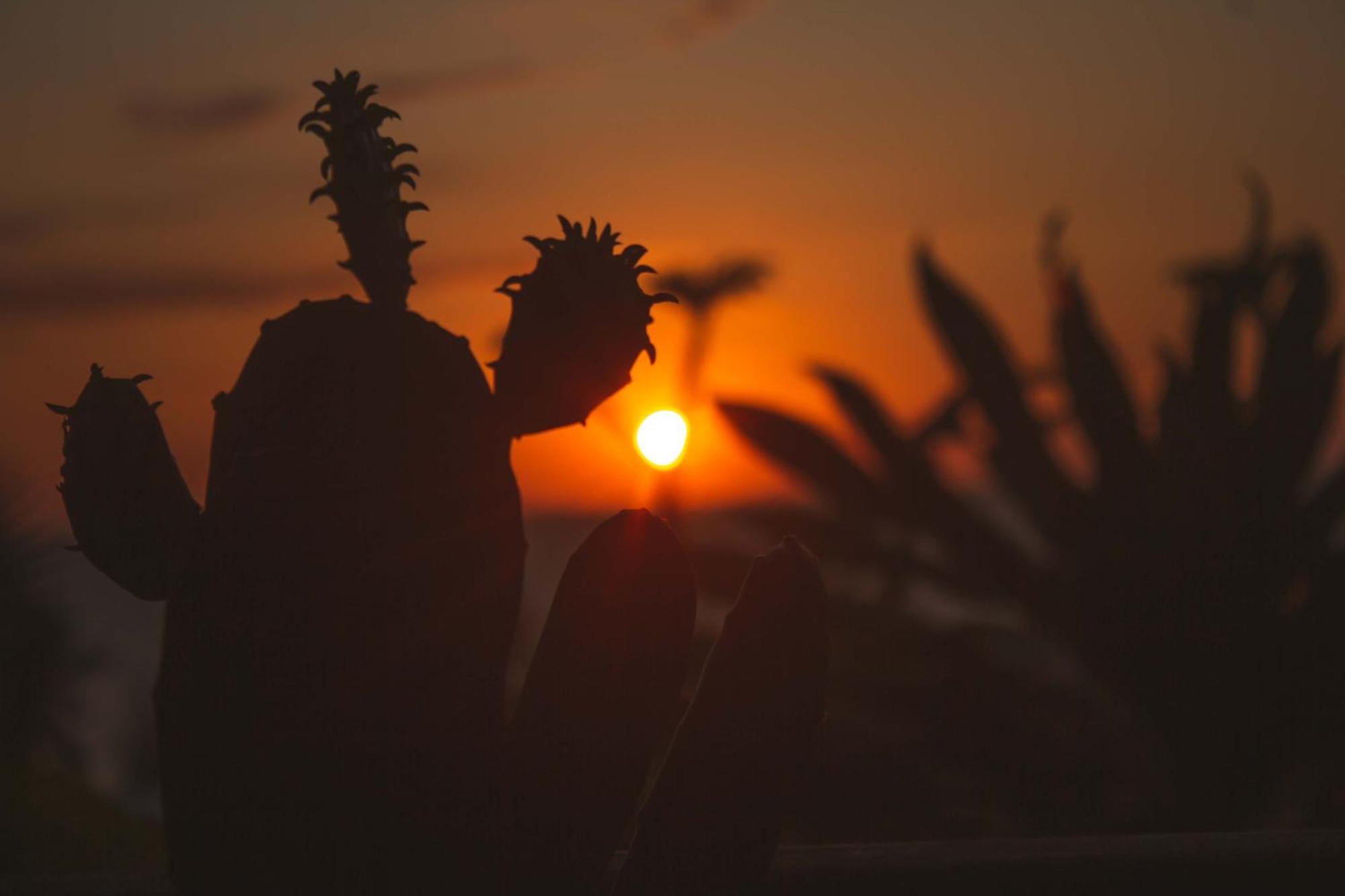 Coucher De Soleil Ambatoloaka  Exteriör bild